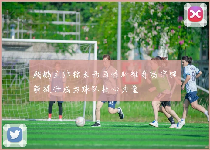 鹈鹕主帅称米西马特科维奇防守理解提升成为球队核心力量