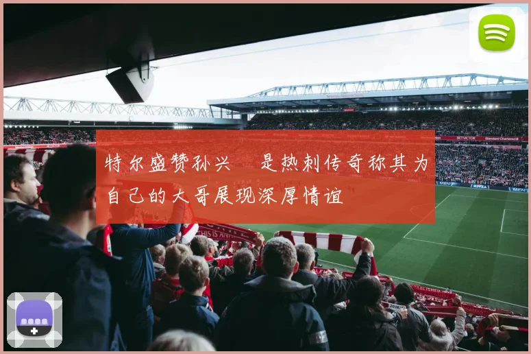特尔盛赞孙兴慜是热刺传奇称其为自己的大哥展现深厚情谊