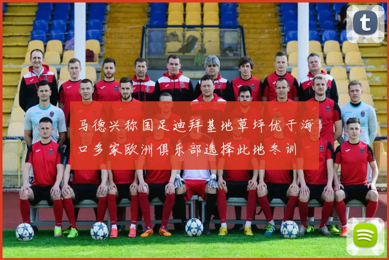 马德兴称国足迪拜基地草坪优于海口多家欧洲俱乐部选择此地冬训