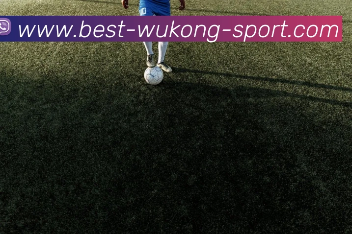 悟空体育APP 封面图